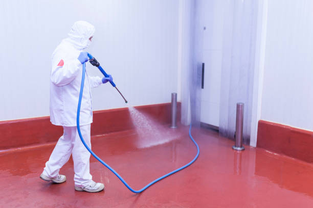 Best Rust and Stain Removal in Kenova, WV